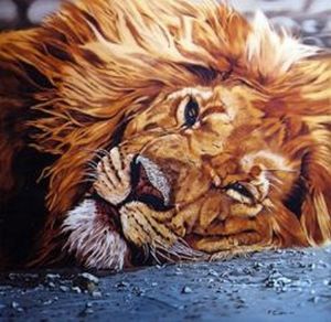 "Sleepy Lion"
