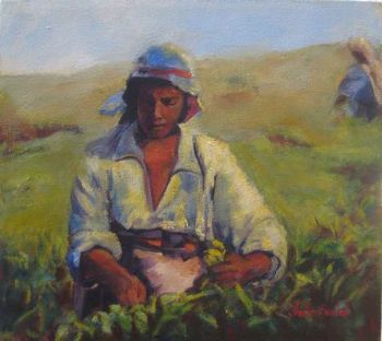 "Tea Picker 2"