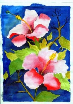 "Hibiscus"