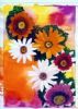 "Daisies"