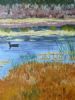 "One Little Coot"