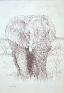 "Giant of the grassy Plain"