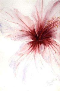 "Hibiscus 2"