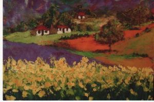 "Canolafield"