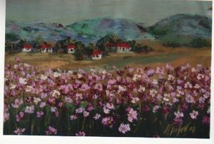"Cosmosfield"
