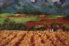 "Vineyard 1"