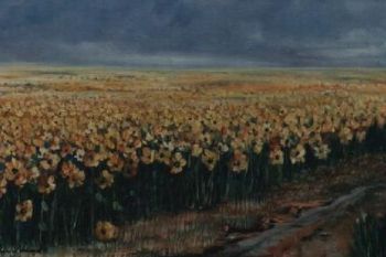 "Sunflower field 4"