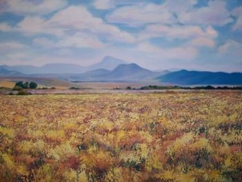 "Compassberg from the Groenvlei road"