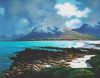 "Stormy Weather Over Pringle Bay"