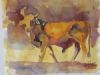 "Nguni Bull"