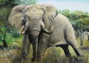 "Tandor - African Elephant "