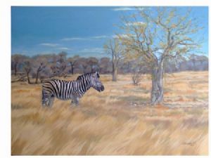 "Zebra Etosha Namibia"