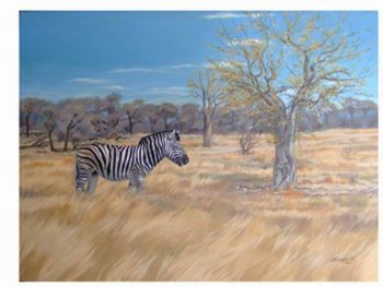 "Zebra Etosha Namibia"