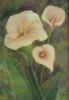 "Arum Lilies"