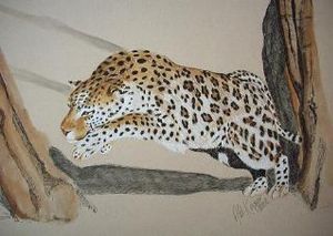 "Leaping Leopard"