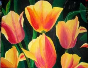 "Tulips"