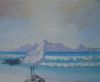 "Table Mountain Seagull Cape Town"