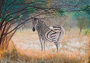 "Pregnant Zebra"