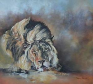 "Resting Lion Male"