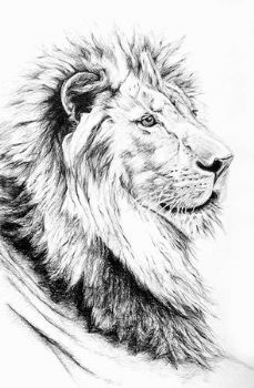 "Lion of Judah"