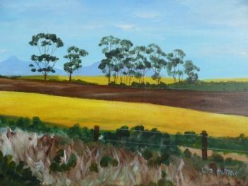 "Canola Fields"