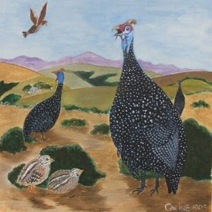 "Guineafowl 1"