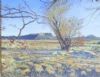 "Karoo Landscape"