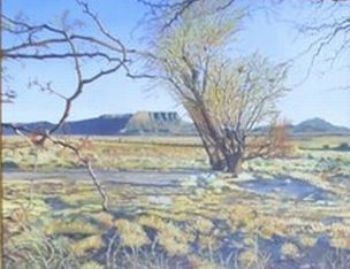 "Karoo Landscape"