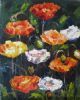 "Iceland Poppies"