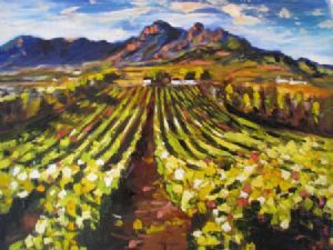 "Vineyard senses"