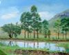 "Birdsong Dam - Wakkerstroom"