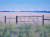 "The Gate"