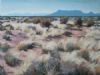 "Midwinter on the Kendrew Road"
