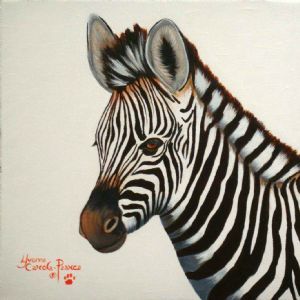 "Young Zebra"