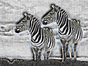 "Zebra Cafe"