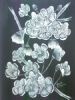 "Cherry Blossoms 2"