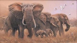 "Elephant Herd with Cattle Egrets"