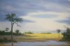 "Spring Rain - Makgadikgadi"