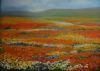 "Namaqualand Landscape"
