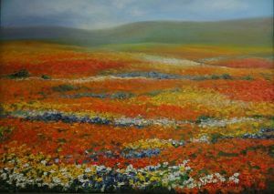 "Namaqualand Landscape"