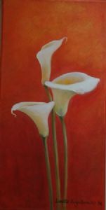 "Arum lilies"