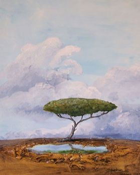 "Bushveld Flat top"