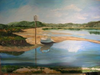 "Stranded Swartvlei"