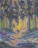 "A Walk In The Forest"