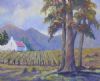 "Cape Vineyard"