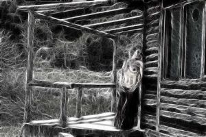 "Lost Soul"