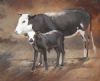 "Nguni 4"