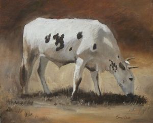 "Nguni 5"