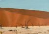 "Dunes Deadvlei"