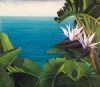 "Indian Ocean Views"